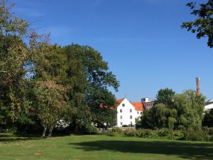 img_0306
