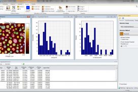 Particle & Pore Analysis