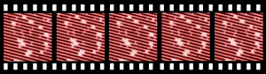 Example: Five of STM frames from a movie where the stability and dynamics of Pt dimers on Pt(110)-(1×2) are studied. The frames have been plane corrected and drift compensated in x and y by SPIP™.