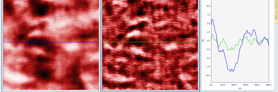 scanning probe microscopy